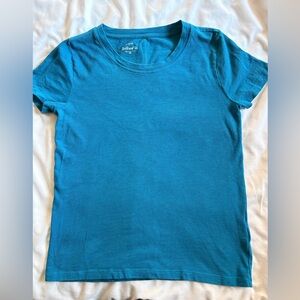 blue jcrew shirt